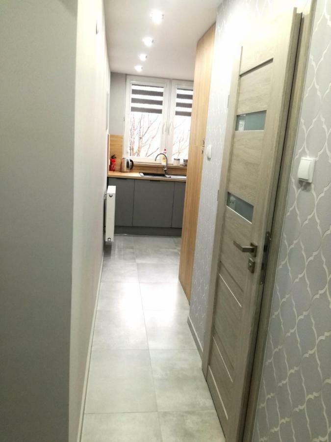 Gray Apartment Bielsko-Biala Luaran gambar