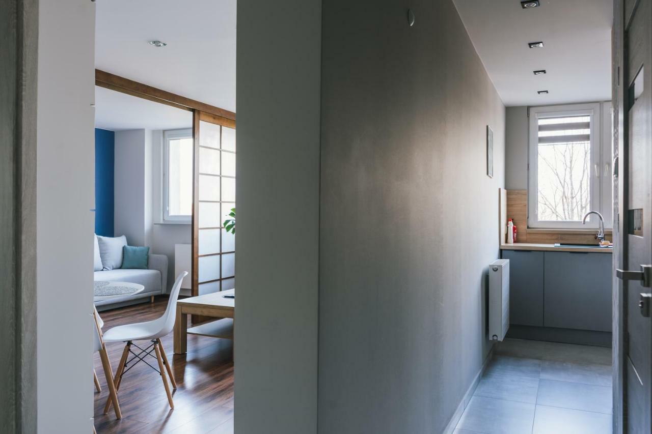 Gray Apartment Bielsko-Biala Luaran gambar